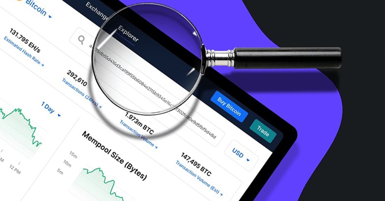هش تراکنش (TXID) چیست؟ راهنمای گام‌به‌گام