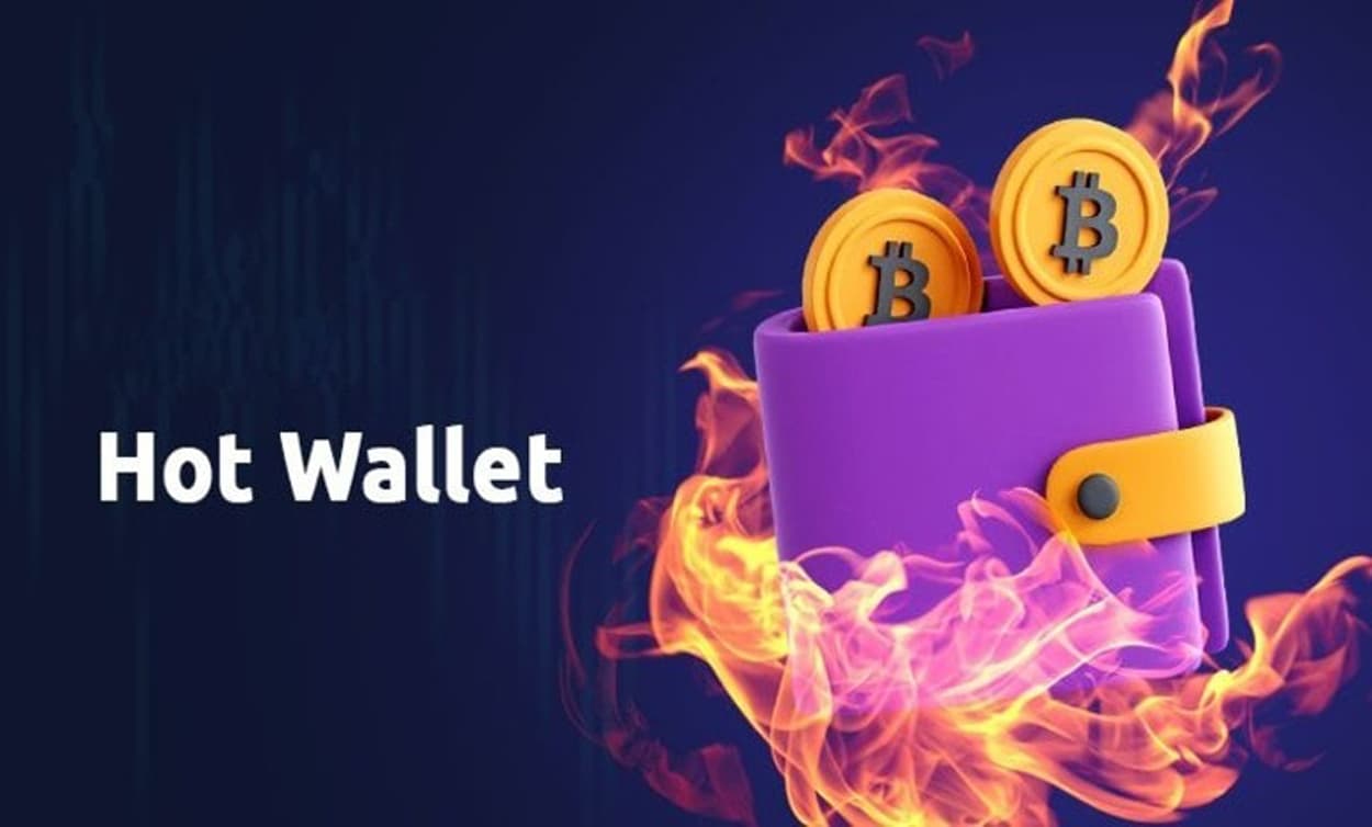 تفاوت کیف پول سرد و گرم